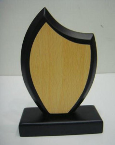 1496741879WT-017-2581-WOOD_TROPHY Rs.170